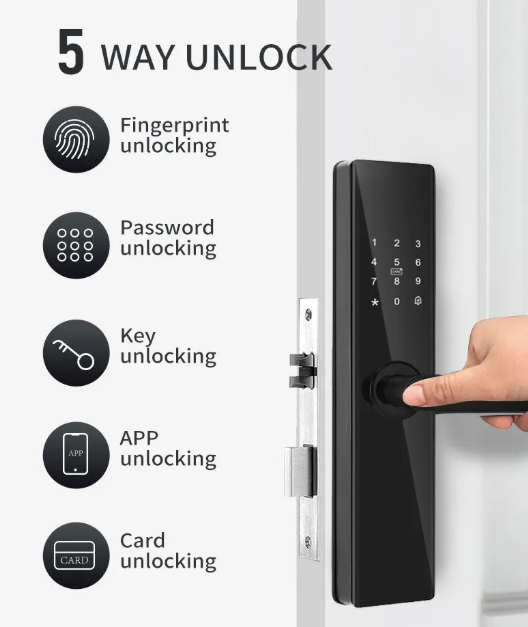 DL01 Smart Door Lock – 5-in-1 Intelligent Access Control